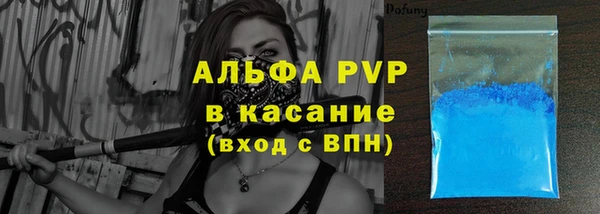гашик Осинники