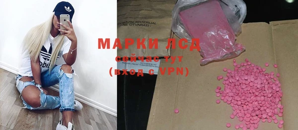 гашик Осинники