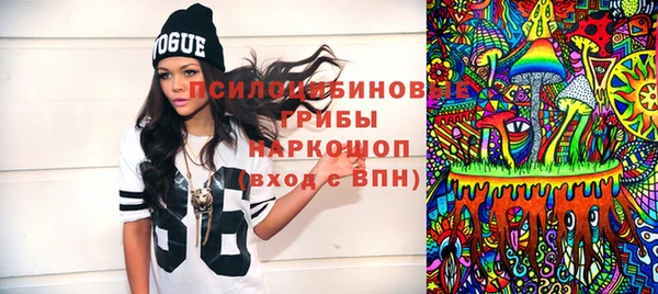 гашик Осинники