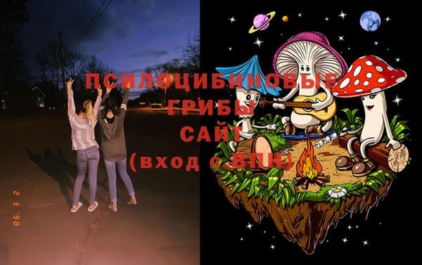 гашик Осинники