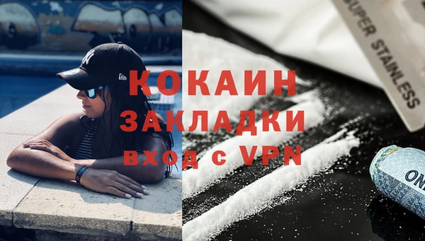 гашик Осинники