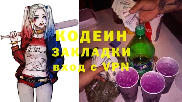 гашик Осинники