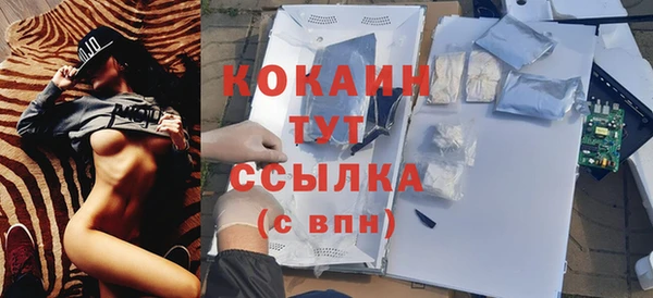 гашик Осинники