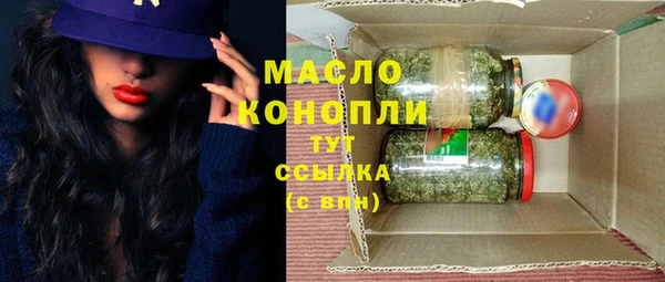 гашик Осинники