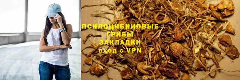 Псилоцибиновые грибы MAGIC MUSHROOMS  Большой Камень 