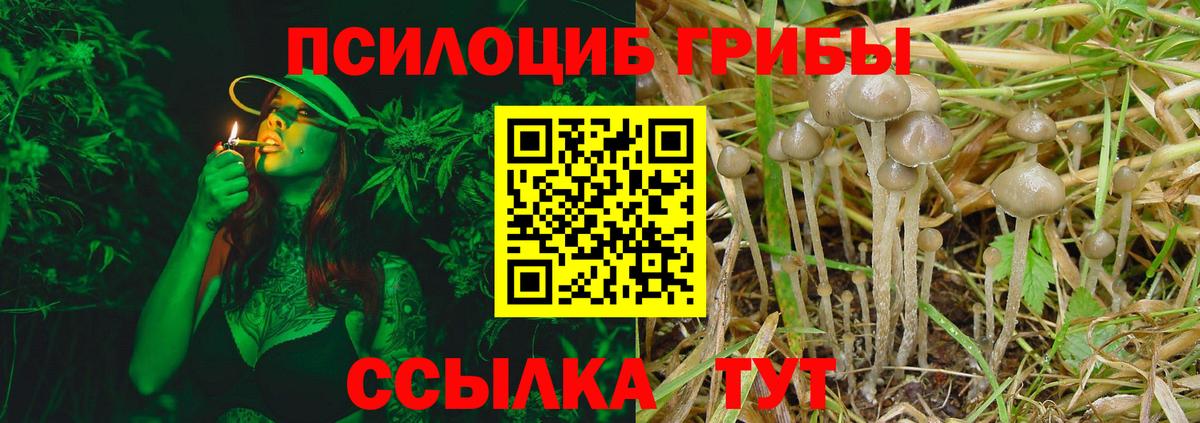 Псилоцибиновые грибы Magic Shrooms Большой Камень