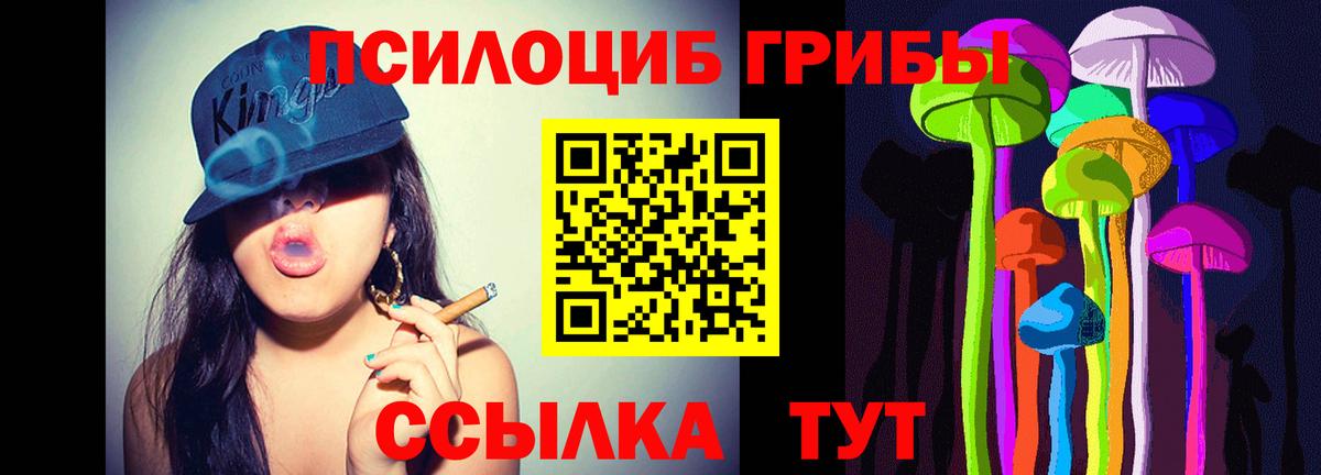 Псилоцибиновые грибы мухоморы  Вход с VPN  Большой Камень 